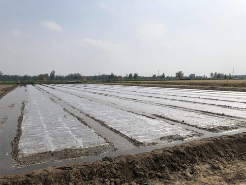 筑巢引鳳賦能 三鄉(xiāng)工程 打造鄉(xiāng)村振興 強磁場