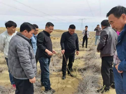 省林草局強化重點生態工程專項督查，保障建筑工程與生態保護協調發展